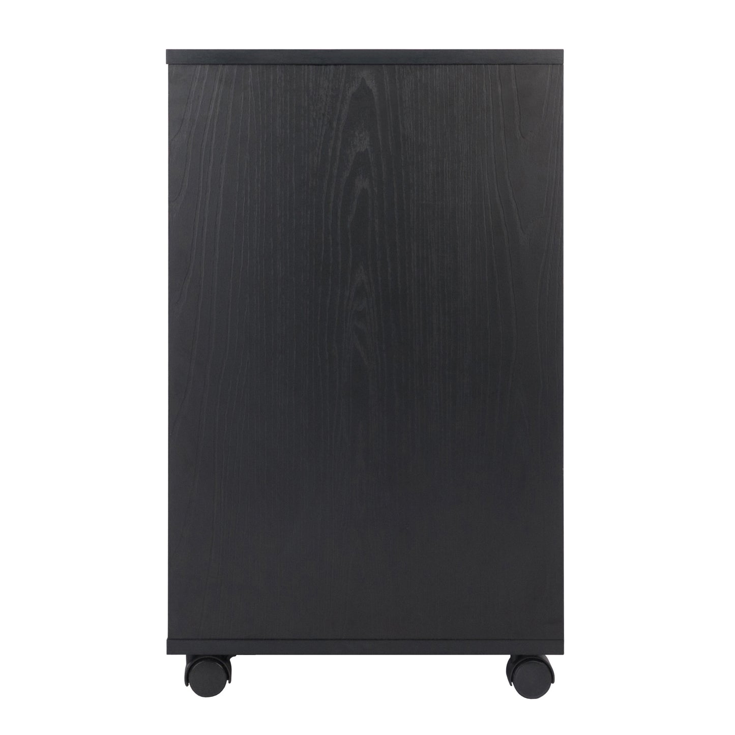 Halifax Wide 2-Door Storage Cabinet; 4-Drawer; Black