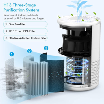 Air Purifier, H13 True HEPA Air Purifier for Home Large Room Up To 430ft², Remove Smoke Pet Dander Dust Pollen Allergies for Bedroom Office, Ozone Free, Night Light,